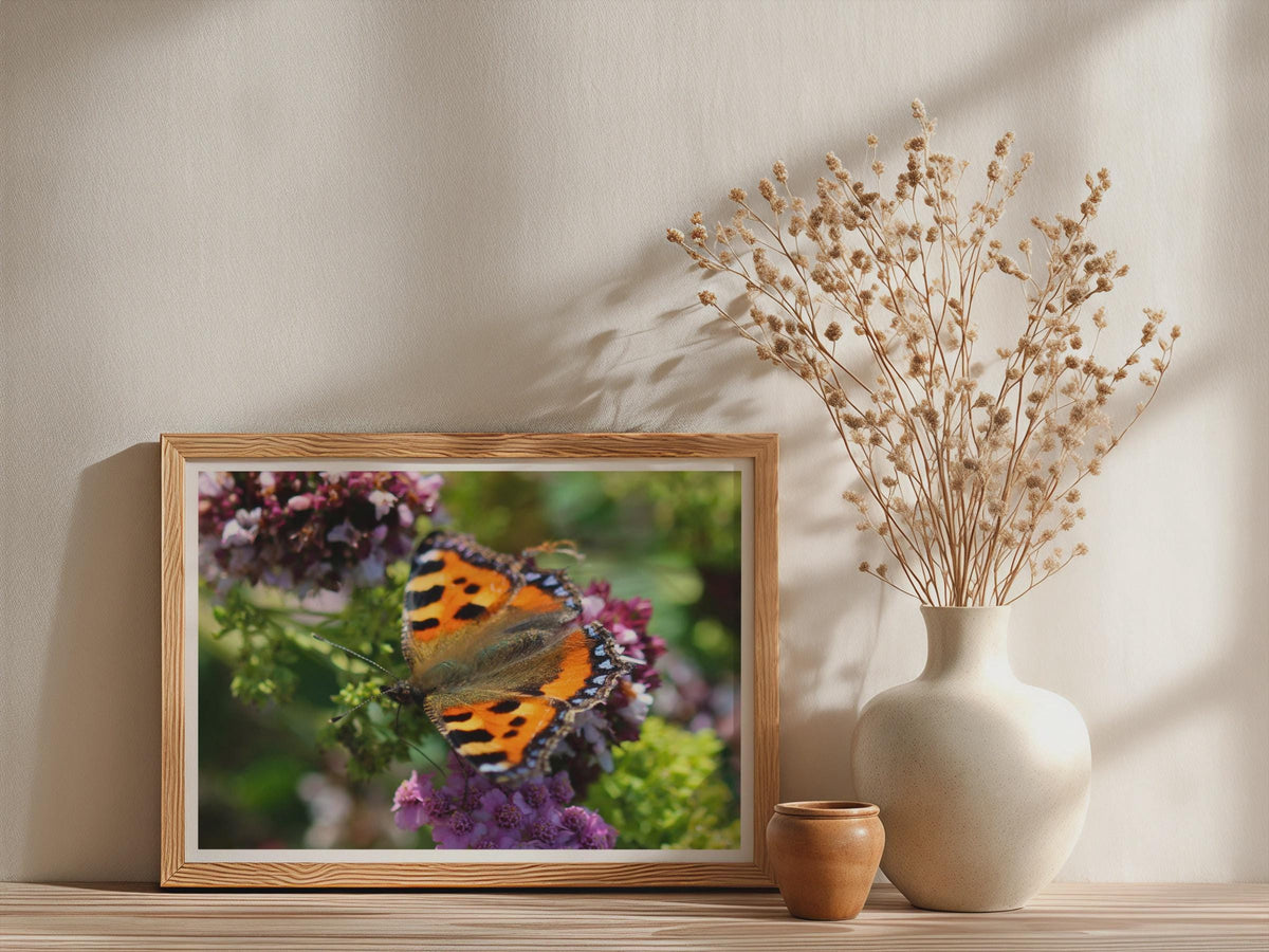 Small Tortoiseshell Butterfly Poster, Wildlife Framed-Print, Orange Nature Wall Art, Garden Insect Print, Buddleia Flower Photography