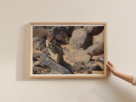 Chipmunk Eating on Rocks Wildlife Poster, Cute Squirrel Framed-Print, Nature Photography Wall Art, Animal Lover Gift Print