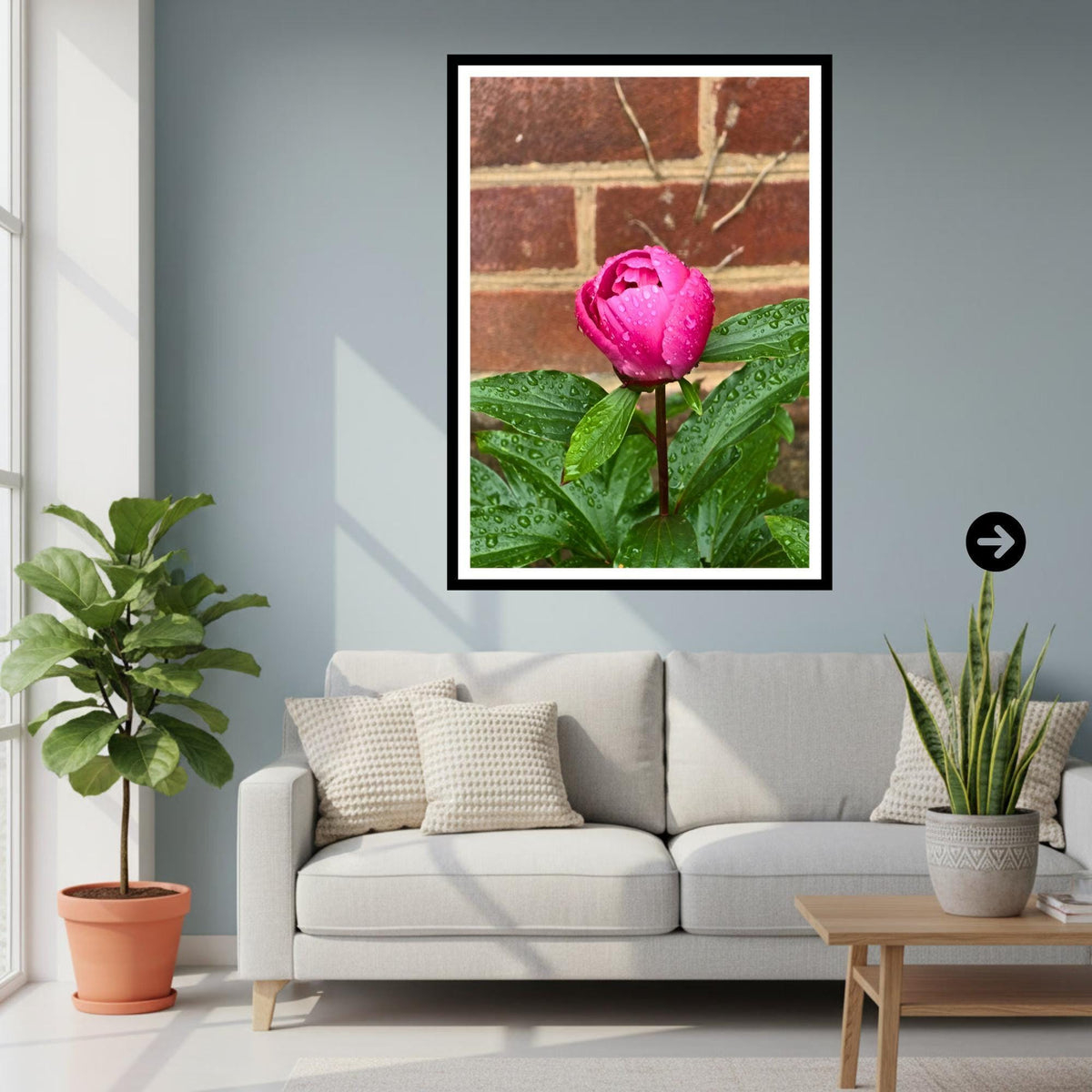 Pink Peony Bud Print with Raindrops – Botanical Wall Art, Floral Photography Décor