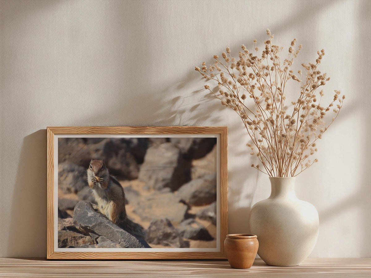 Chipmunk Eating on Rocks Wildlife Poster, Cute Squirrel Framed-Print, Nature Photography Wall Art, Animal Lover Gift Print