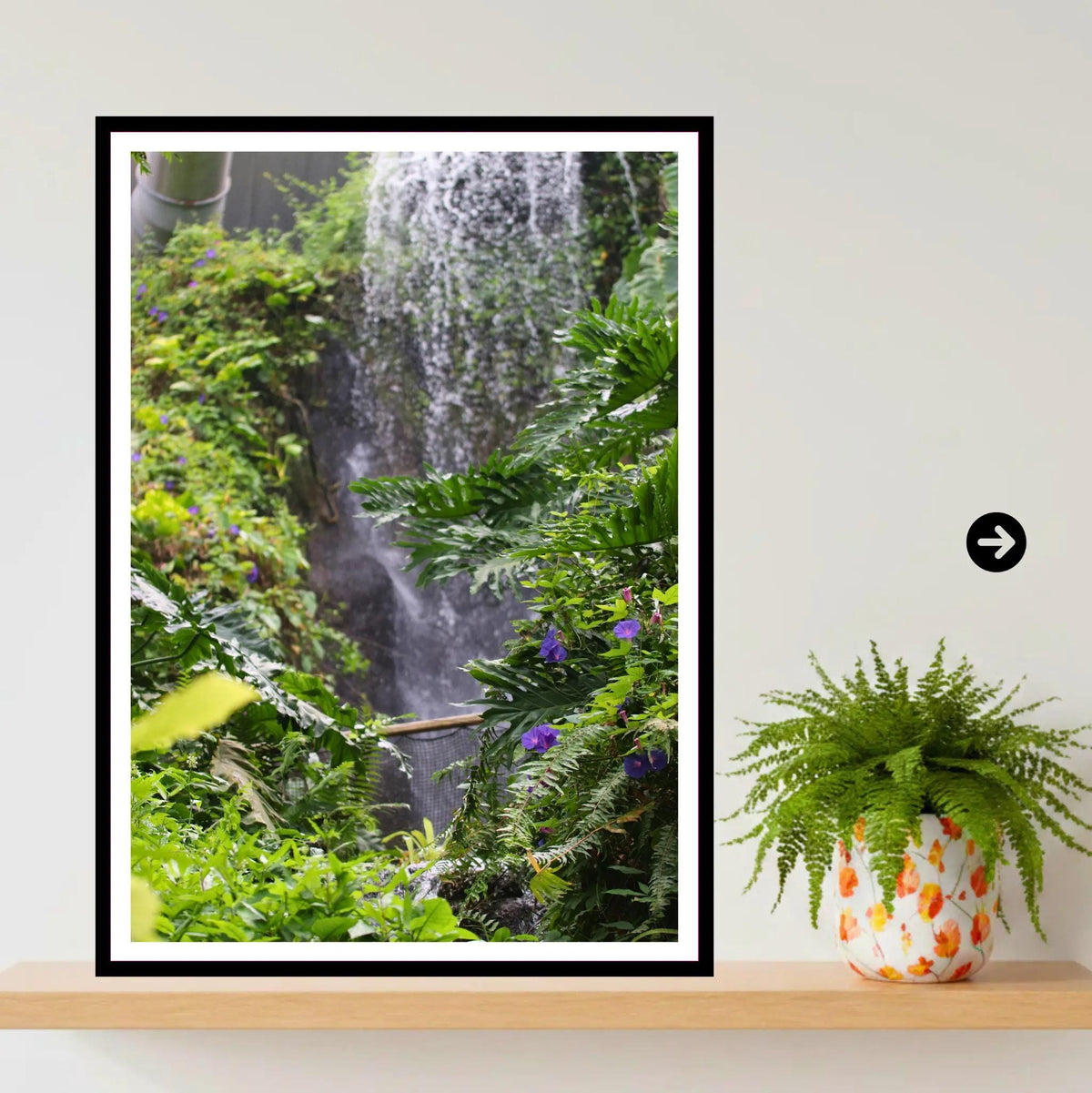 Lush Waterfall & Ferns — Eden Project Cornwall Wall Art Photography Print