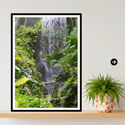 Lush Waterfall & Ferns — Eden Project Cornwall Wall Art Photography Print