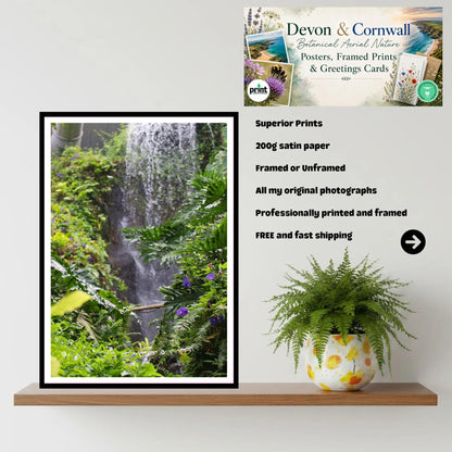 Lush Waterfall & Ferns — Eden Project Cornwall Wall Art Photography Print