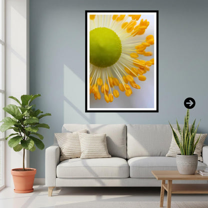 White Anemone Macro Print | Delicate Botanical Flower Photography, Minimal Nature Decor