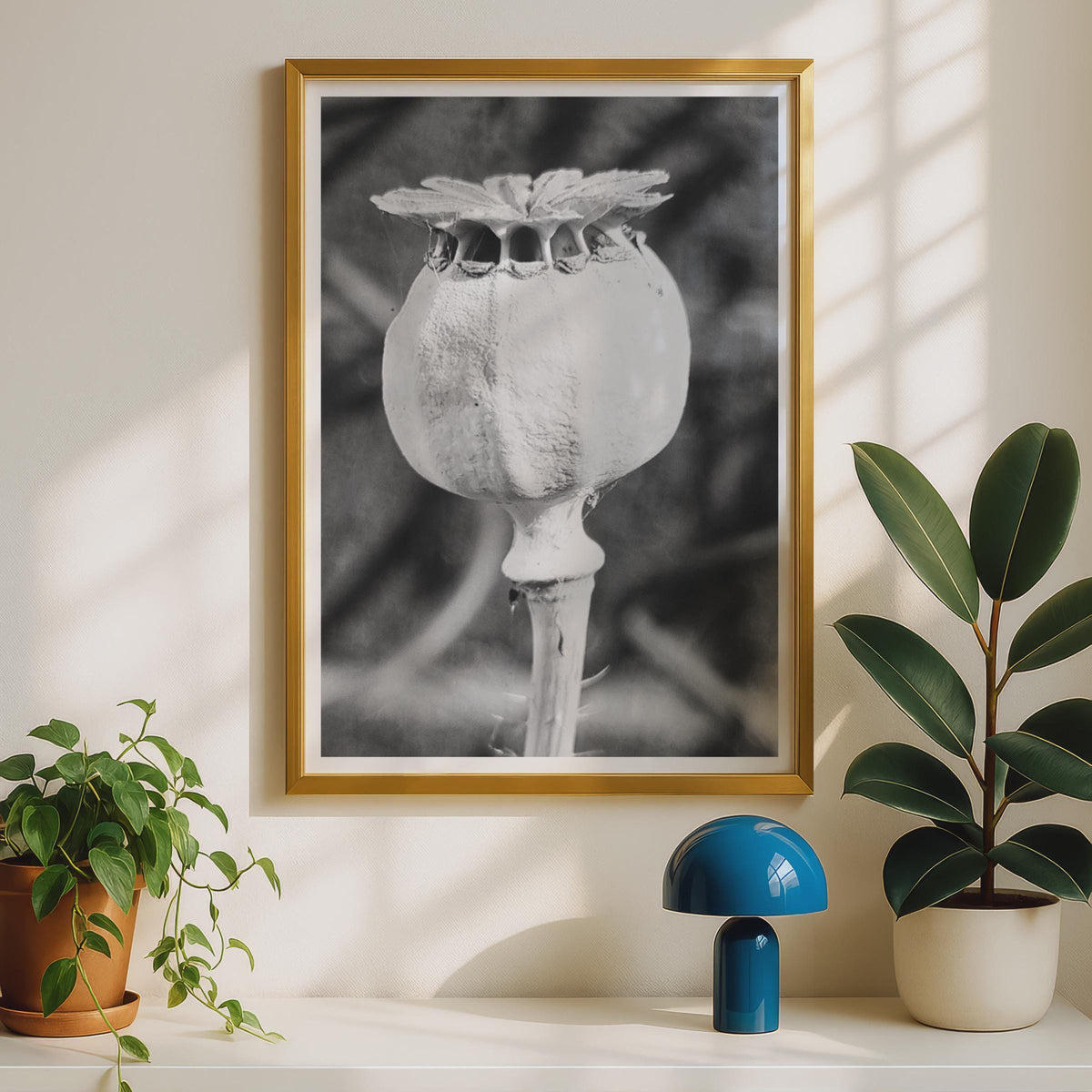 Poppy Seed Head Black and White Photography Print, Macro Botanical Wall Art, Monochrome Flower Pod Poster, Nature Close Up Home Decor