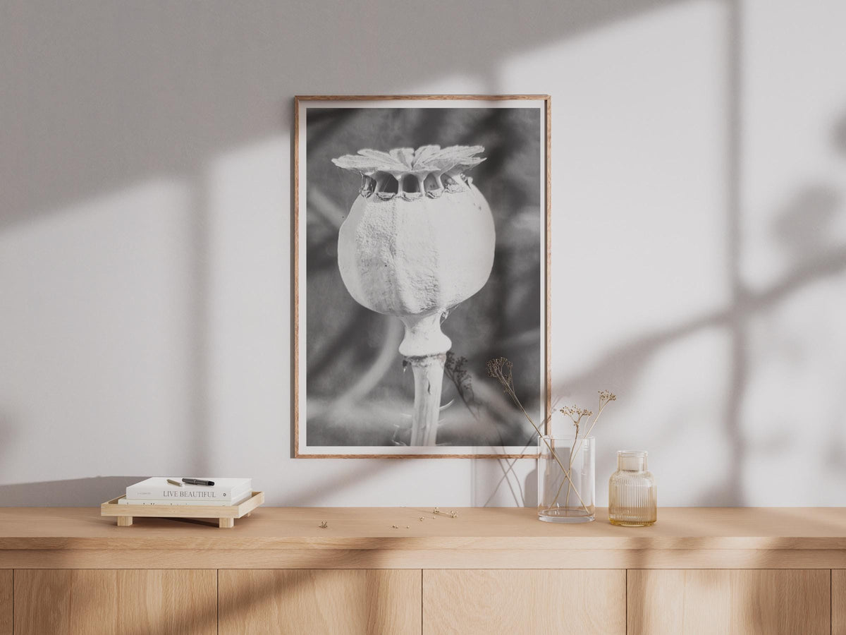 Poppy Seed Head Black and White Photography Print, Macro Botanical Wall Art, Monochrome Flower Pod Poster, Nature Close Up Home Decor