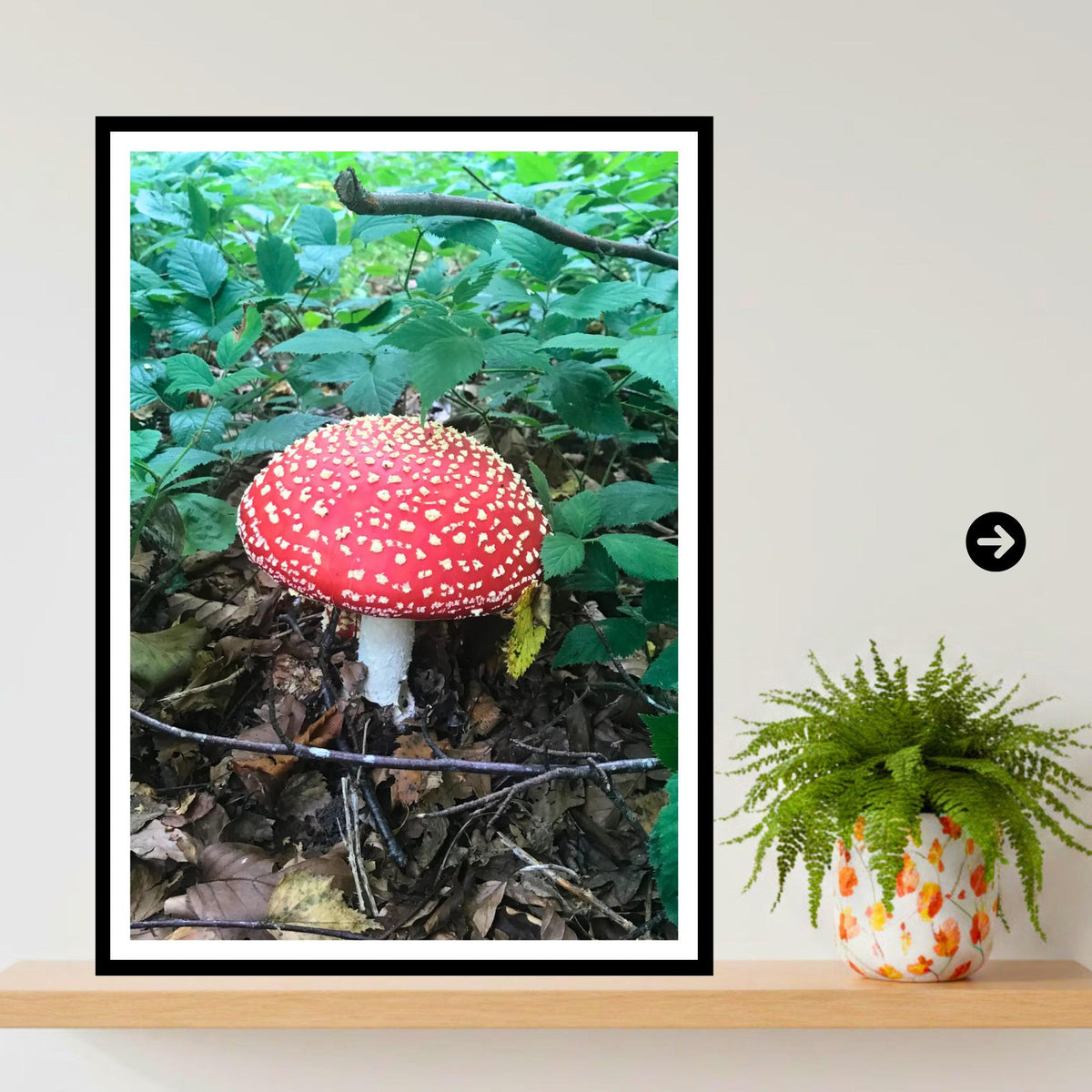 Fly Agaric Fungi Print Art, Mushroom Wall Decor, Nature Photography, Woodland Botanical Poster, Archival Fungi Collection, Forest Decor