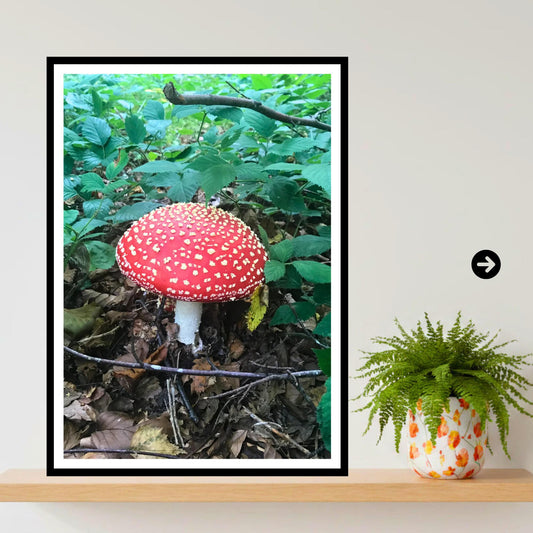 Fly Agaric Fungi Print Art, Mushroom Wall Decor, Nature Photography, Woodland Botanical Poster, Archival Fungi Collection, Forest Decor