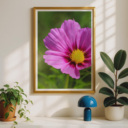 Pink Cosmos Flower Photography Print, Close Up Floral Wall Art, Bright Pink Garden Poster, Summer Botanical Photo, Nature Lover Gift Print
