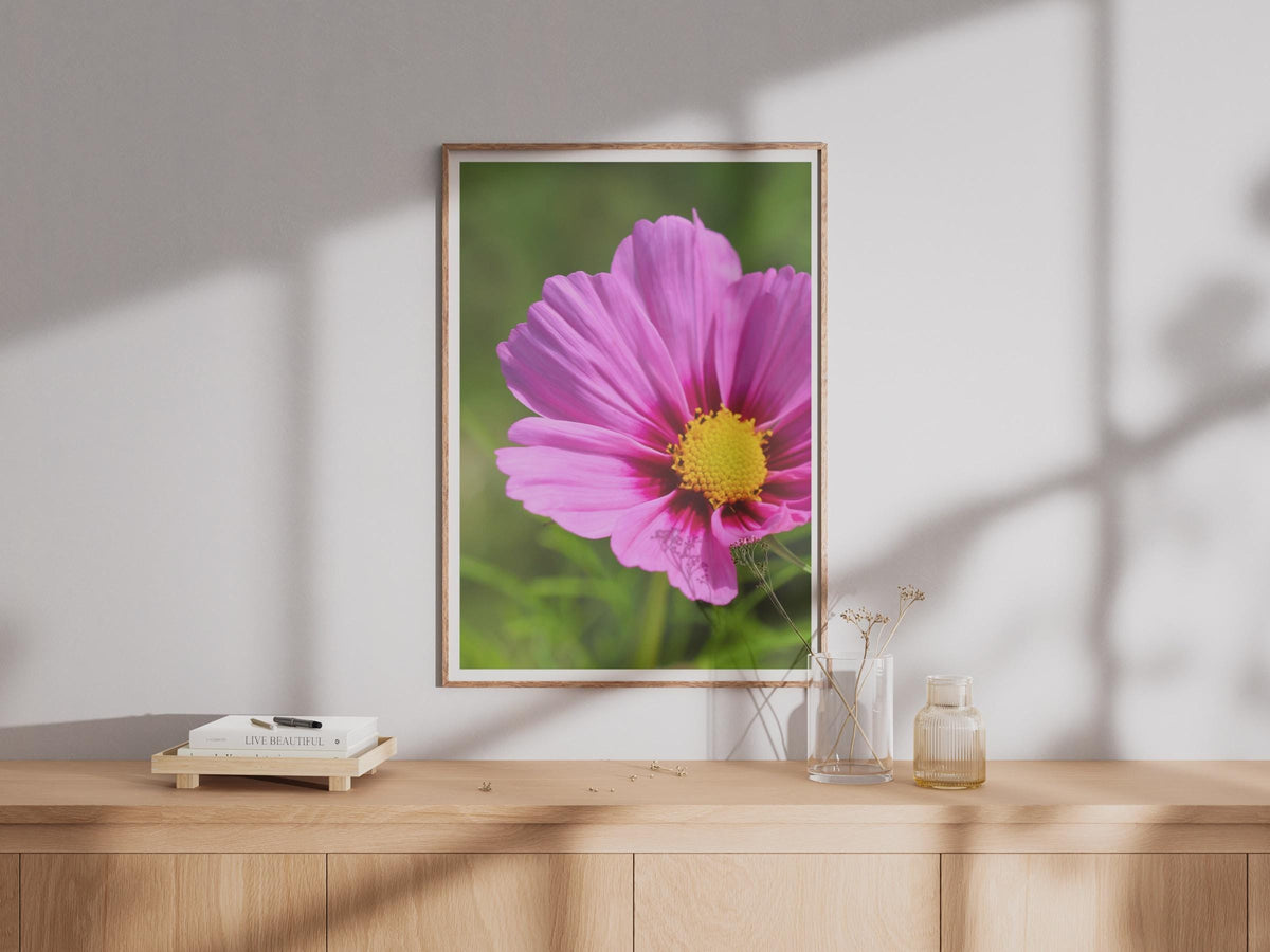 Pink Cosmos Flower Photography Print, Close Up Floral Wall Art, Bright Pink Garden Poster, Summer Botanical Photo, Nature Lover Gift Print