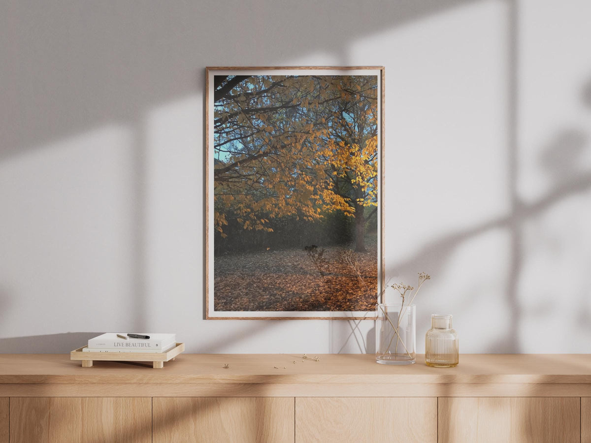 Autumn Tree Photography Print - image 4