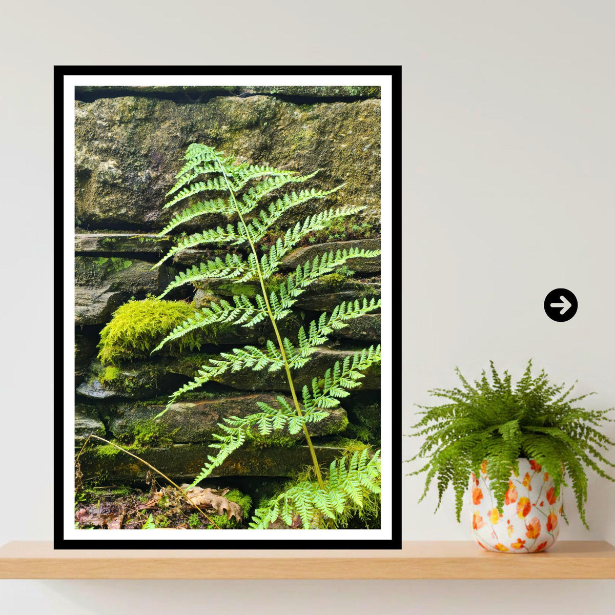 Woodland Fern Print, Mossy Stone Wall Botanical Art, Nature Photography (Inspired by Eden Collection)