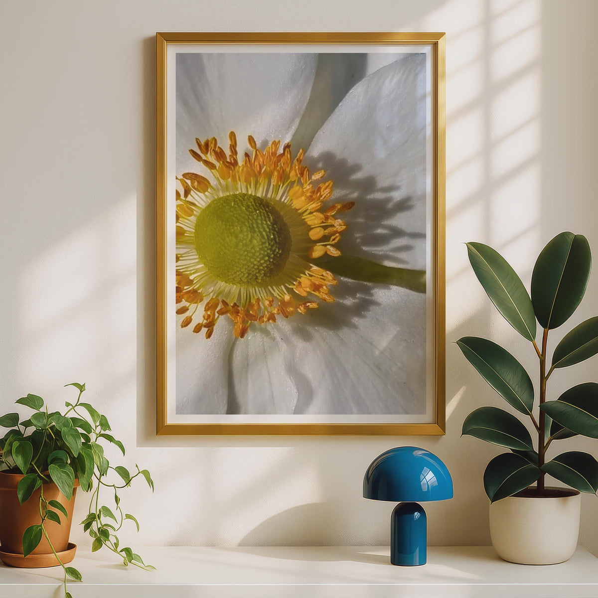 White Anemone Macro Flower Print, Close Up Botanical Wall Art, Gold Stamen Photography Poster, Nature Home Decor