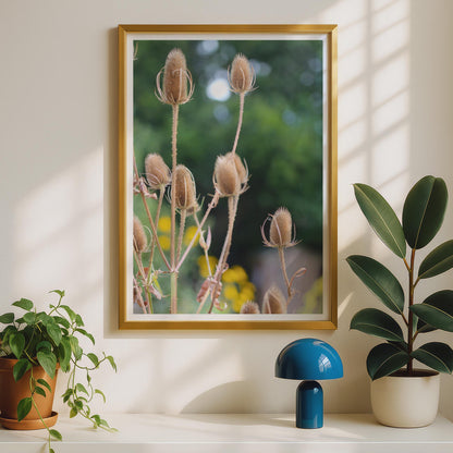 Teasel Seed Heads Botanical Poster, Wild Teasel Print, Dried Seedhead Wall Art, Nature Photography, Autumn Garden Decor, Neutral Tones