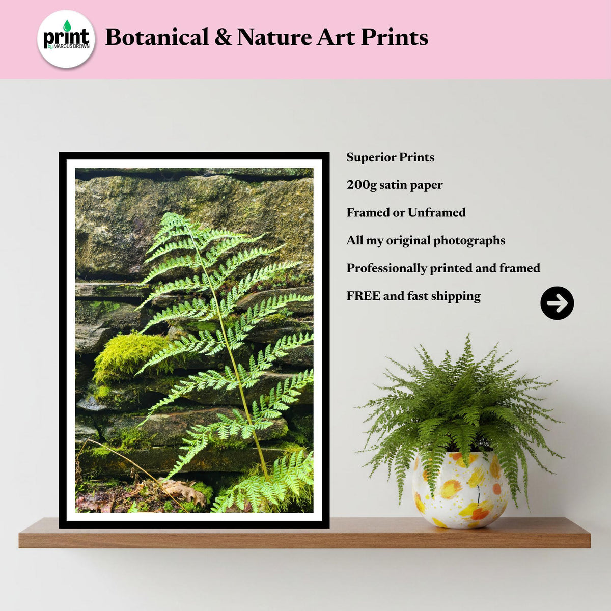 Woodland Fern Print, Mossy Stone Wall Botanical Art, Nature Photography (Inspired by Eden Collection)