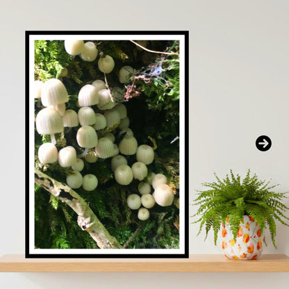 Bonnet Mushroom Fungi Print Art | Nature Photography, Woodland Decor, Botanical Poster, Archival FSC Certified Paper, Unique Gift, Mycology