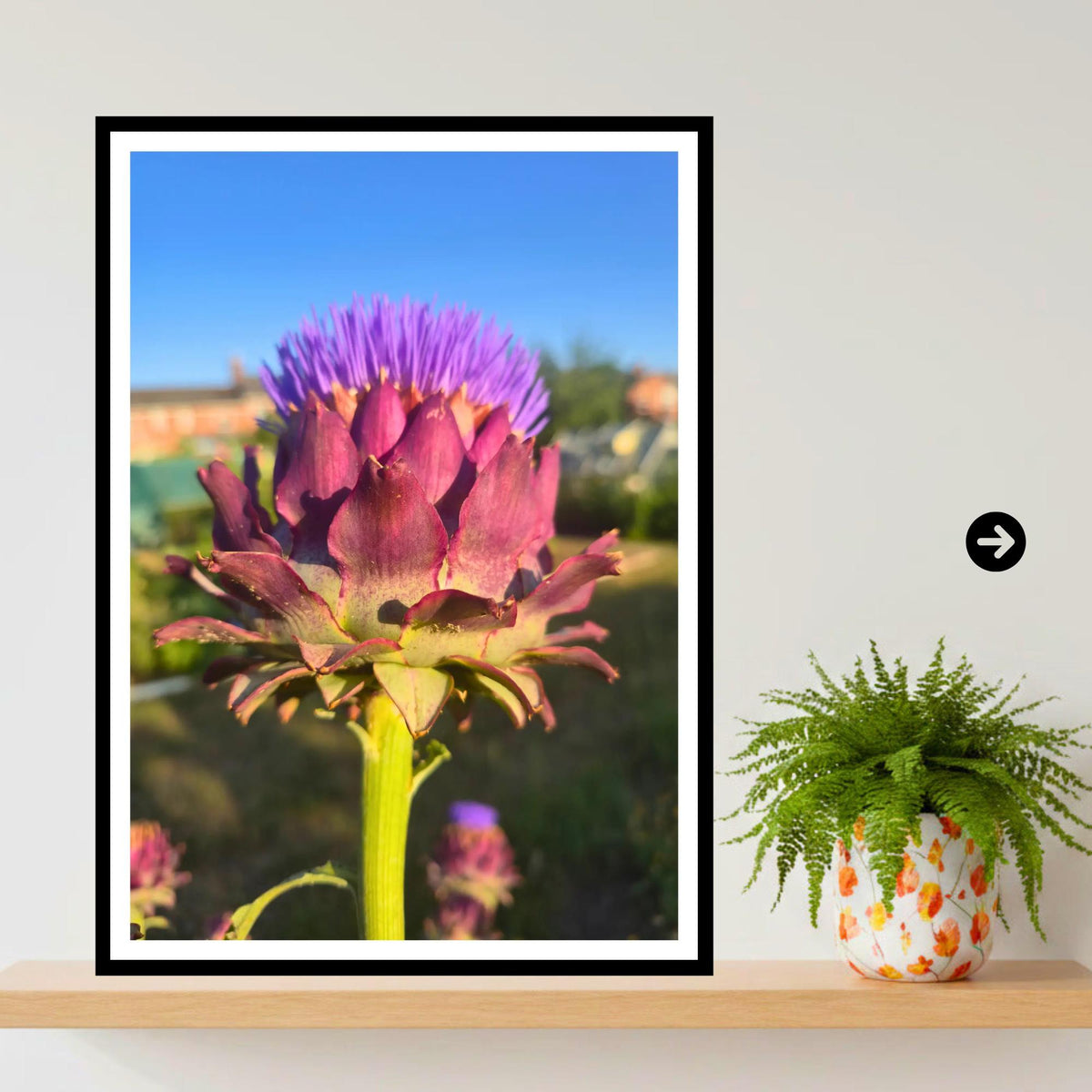 Artichoke Bloom Golden Hour Print, Botanical Wall Art, Foodie Gift, Garden Lover Decor, Nature Photography, Archival Paper, Hope Prosperity