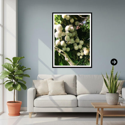 Bonnet Mushroom Fungi Print Art | Nature Photography, Woodland Decor, Botanical Poster, Archival FSC Certified Paper, Unique Gift, Mycology