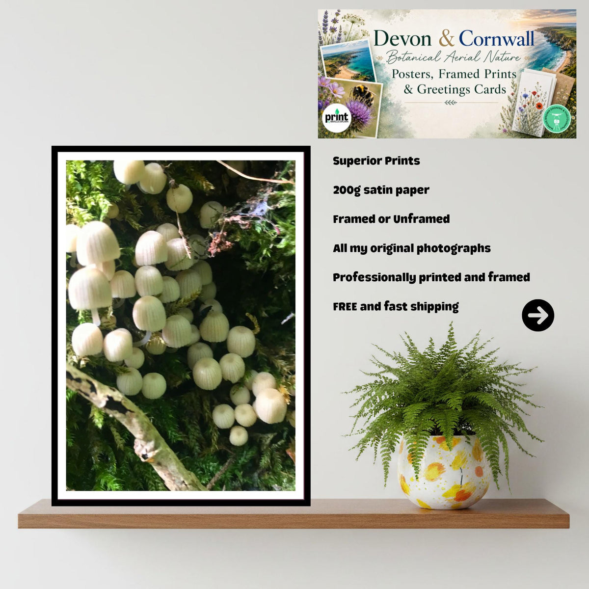 Bonnet Mushroom Fungi Print Art | Nature Photography, Woodland Decor, Botanical Poster, Archival FSC Certified Paper, Unique Gift, Mycology