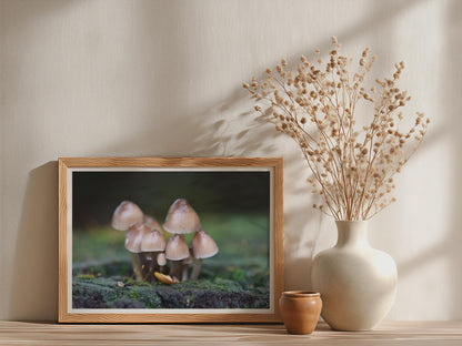 Woodland Fungi Poster mockup - Neutral_Mockup_Studio_509