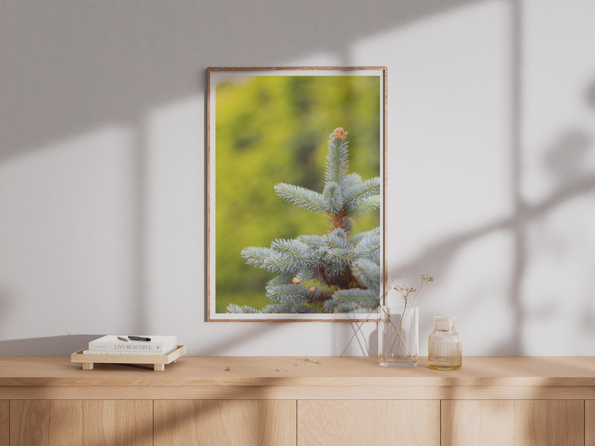 Blue Spruce Tree Close Up Photography Print, Evergreen Conifer Botanical Poster, Nature Wall Art, Teal Green Forest Photo Print for Home