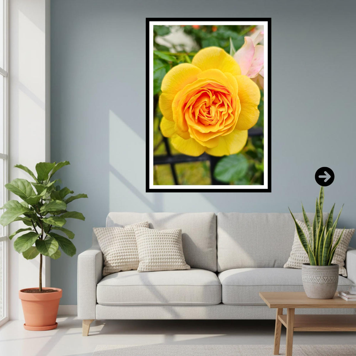 Yellow Rose Print: Botanical Wall Art, Fine Art Flower Photography