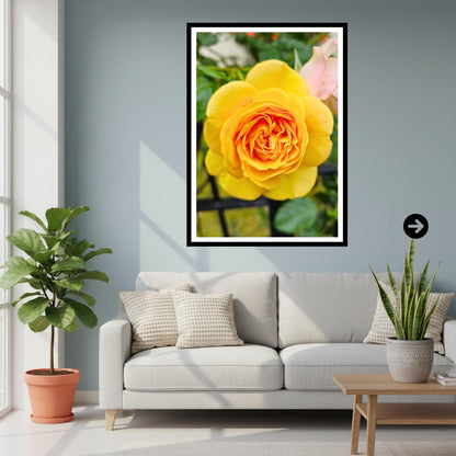 Yellow Rose Print: Botanical Wall Art, Fine Art Flower Photography