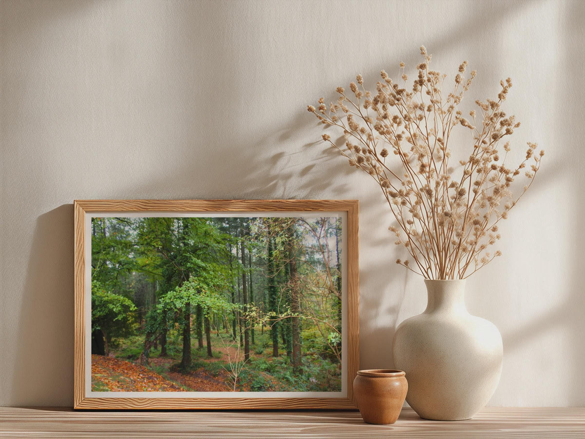 Autumn Forest Landscape Poster - image 3