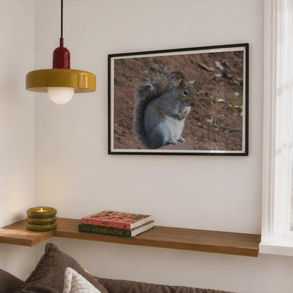 Grey Squirrel Wildlife Poster, Framed-Print, Nature Photography Wall Art, British Wildlife, Garden Animal Print, Woodland Creature Decor