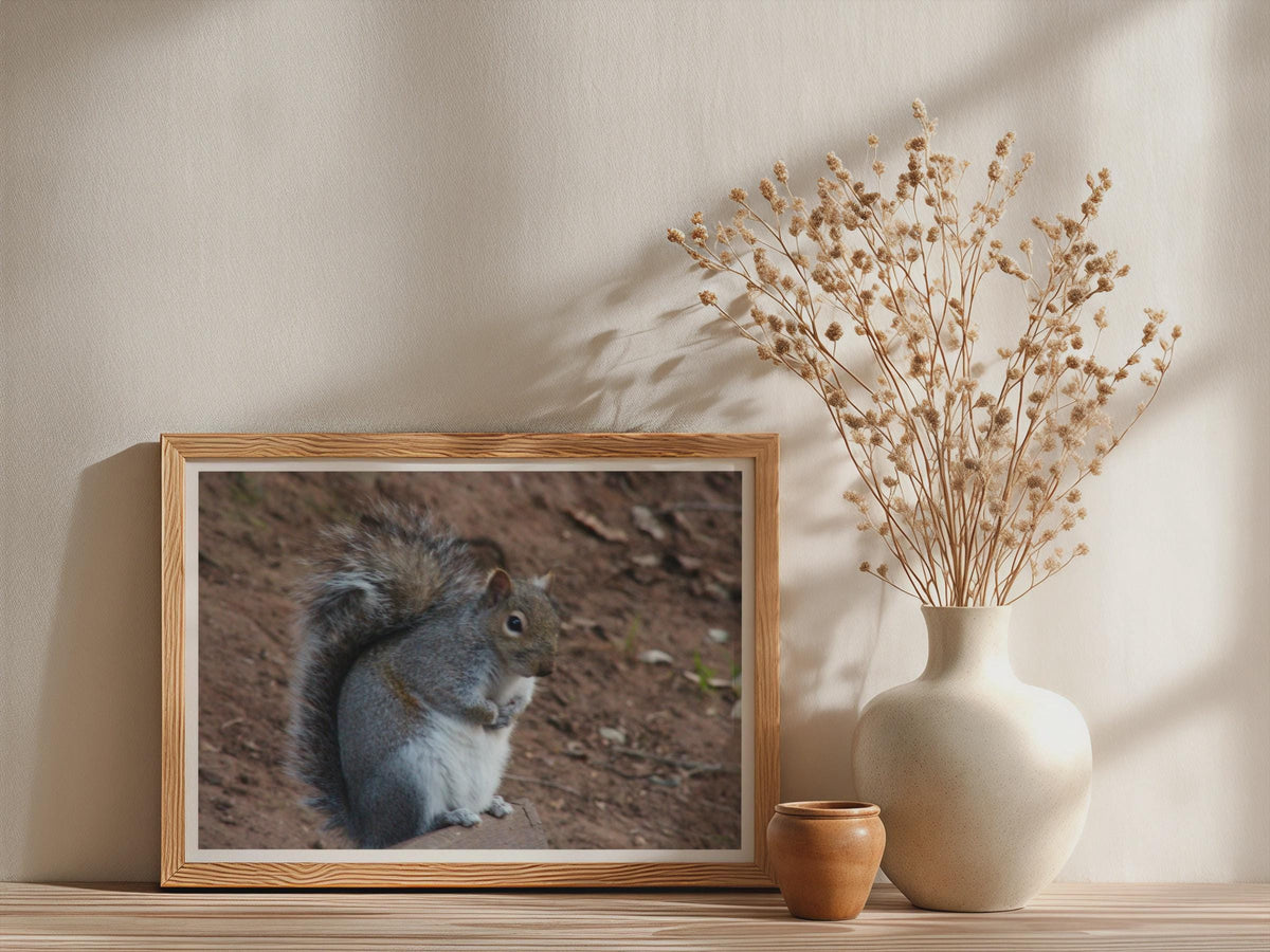 Grey Squirrel Wildlife Poster, Framed-Print, Nature Photography Wall Art, British Wildlife, Garden Animal Print, Woodland Creature Decor