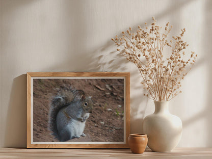 Grey Squirrel Wildlife Poster, Framed-Print, Nature Photography Wall Art, British Wildlife, Garden Animal Print, Woodland Creature Decor
