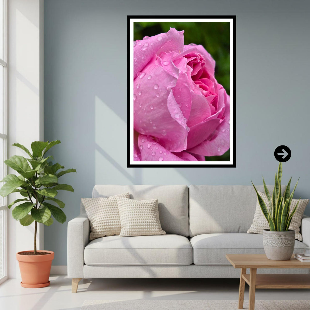 Pink Rose Print with Water Droplets – Botanical Fine Art Photography