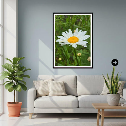 Wild Oxeye Daisy Meadow Art Print, Cottagecore Wall Decor, Nature Photography, Serene Floral Artwork, Archival Paper, Gift for Her