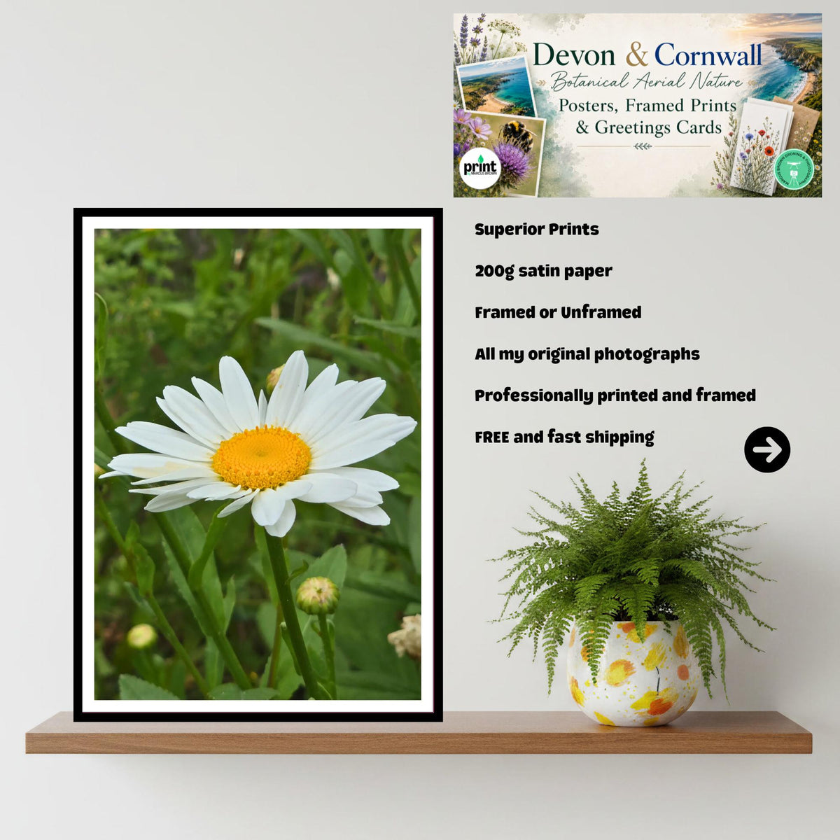 Wild Oxeye Daisy Meadow Art Print, Cottagecore Wall Decor, Nature Photography, Serene Floral Artwork, Archival Paper, Gift for Her
