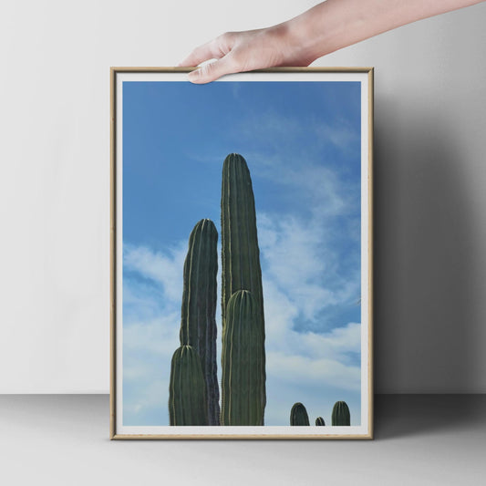 Cactus Photography Print, Tall Columnar Cactus Blue Sky Poster, Desert Plant Wall Art, Botanical Photo Print, Minimalist Green Home Decor