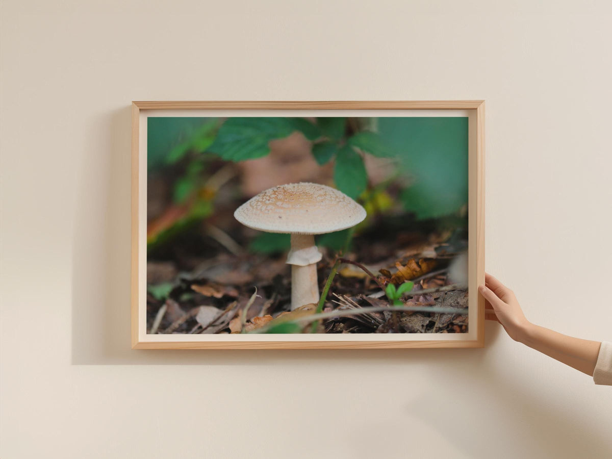 Mushroom Photography Poster, Fungi Wall Art, Forest Floor Nature Print, Woodland Framed-Print, Botanical Nature Decor, Cream Brown Green