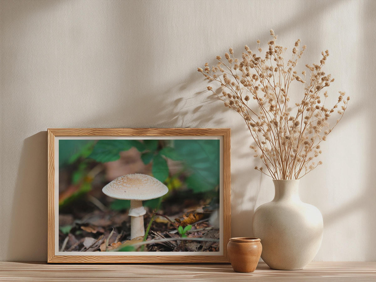 Mushroom Photography Poster mockup - Neutral_Mockup_Studio_509