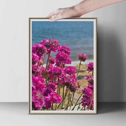 Sea Thrift Coastal Flower Poster, Pink Armeria Maritime Wall Art, Seaside Wildflower Print, Ocean Cliff Floral Photography Decor