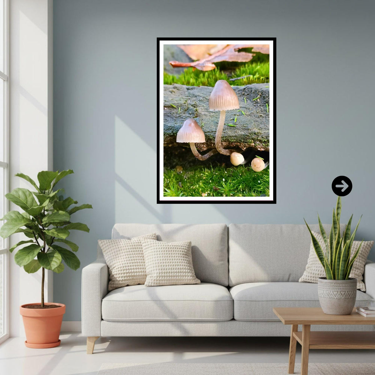 Common Bonnet Fungi Print Art, Mushroom Nature Photography, Woodland Fungi Decor, Botanical and Wildlife Print, FSC Certified Archival