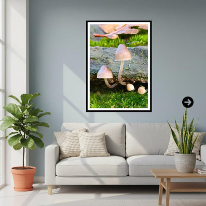 Common Bonnet Fungi Print Art, Mushroom Nature Photography, Woodland Fungi Decor, Botanical and Wildlife Print, FSC Certified Archival