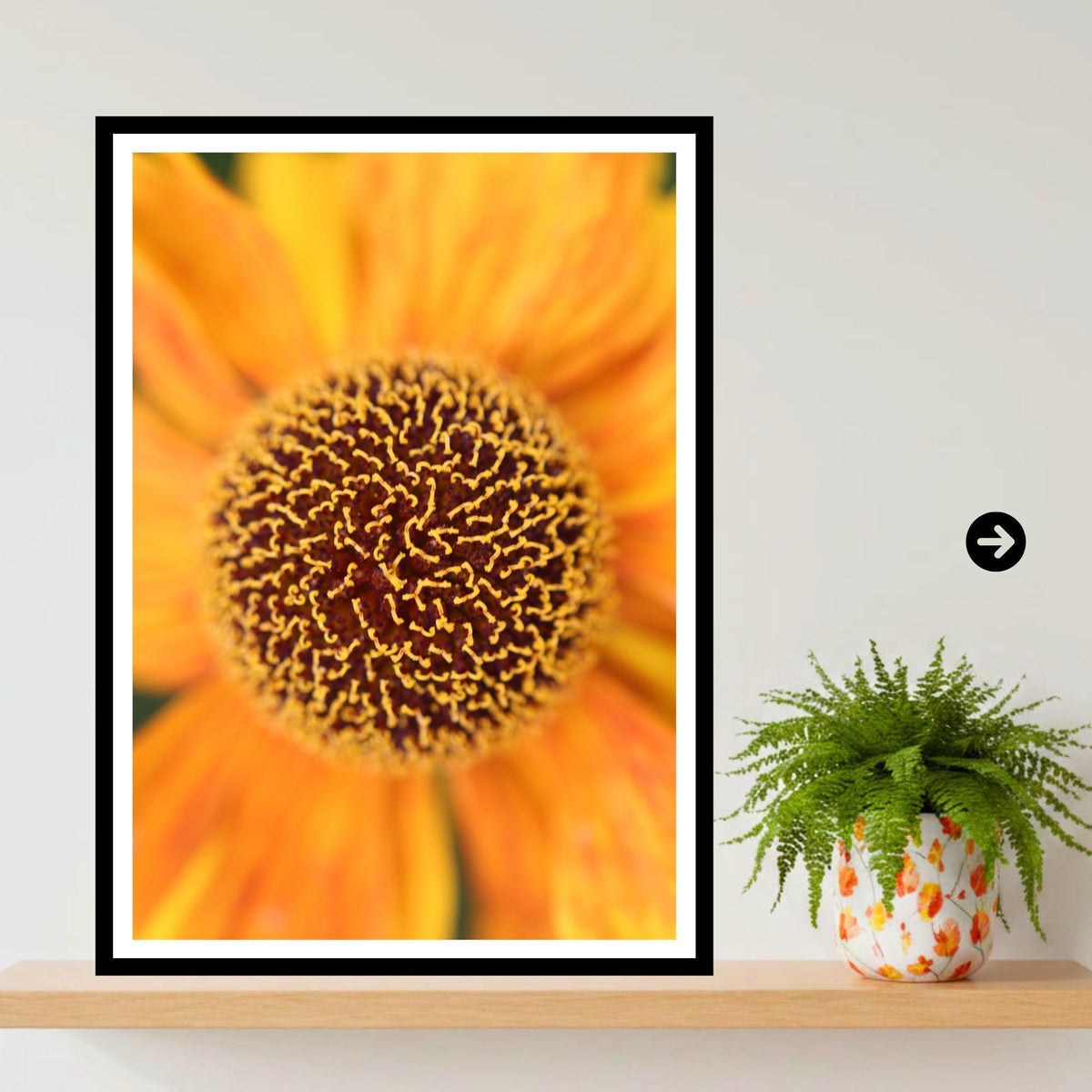 Orange Helenium Flower Print, Macro Botanical Wall Art, Summer Nature Poster