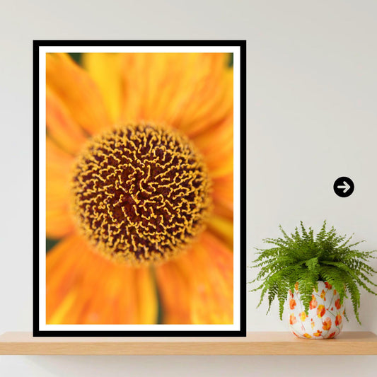 Orange Helenium Flower Print, Macro Botanical Wall Art, Summer Nature Poster