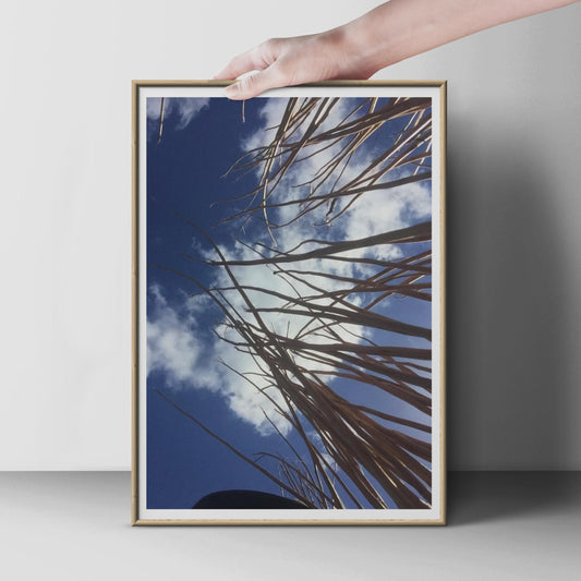 Dry Reed Stems Blue Sky Photo Poster, Looking Up Nature Photography Print, Dramatic Cloud Wall Art, Botanical Minimalist Home Decor