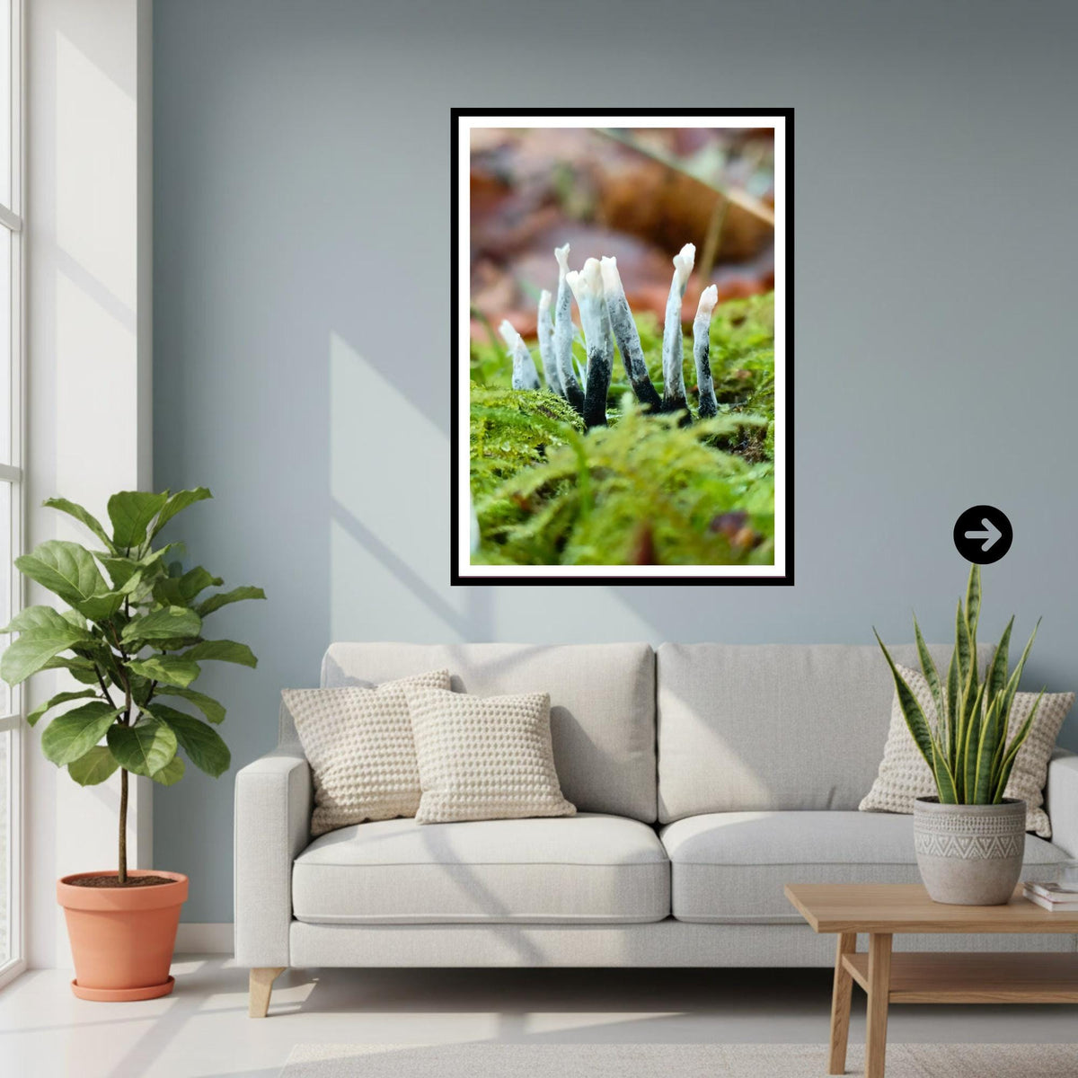 Candlesnuff Fungus Print, Fungi Art, Nature Photography, Woodland Decor, Botanical Poster, Mushroom Illustration, Archival Paper, Unique