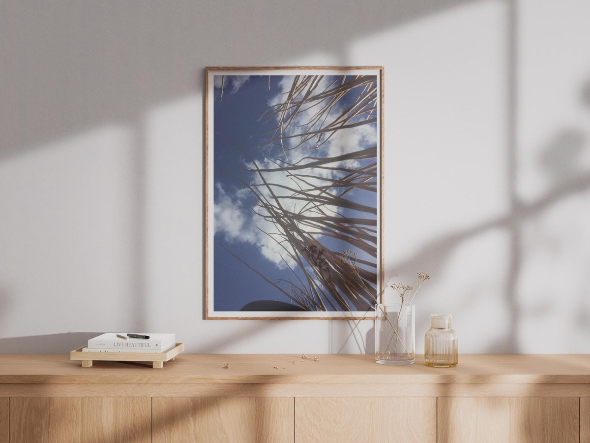 Dry Reed Stems Blue Sky Photo Poster, Looking Up Nature Photography Print, Dramatic Cloud Wall Art, Botanical Minimalist Home Decor