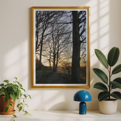 Winter Trees Sunset Poster - image 2