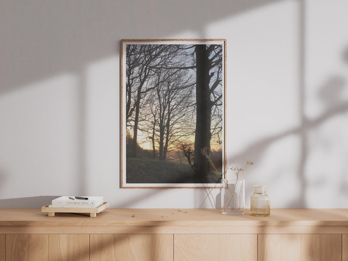 Winter Trees Sunset Poster - image 4