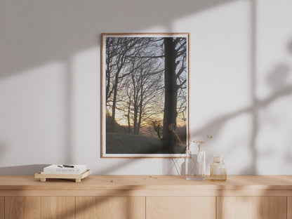 Winter Trees Sunset Poster - image 4