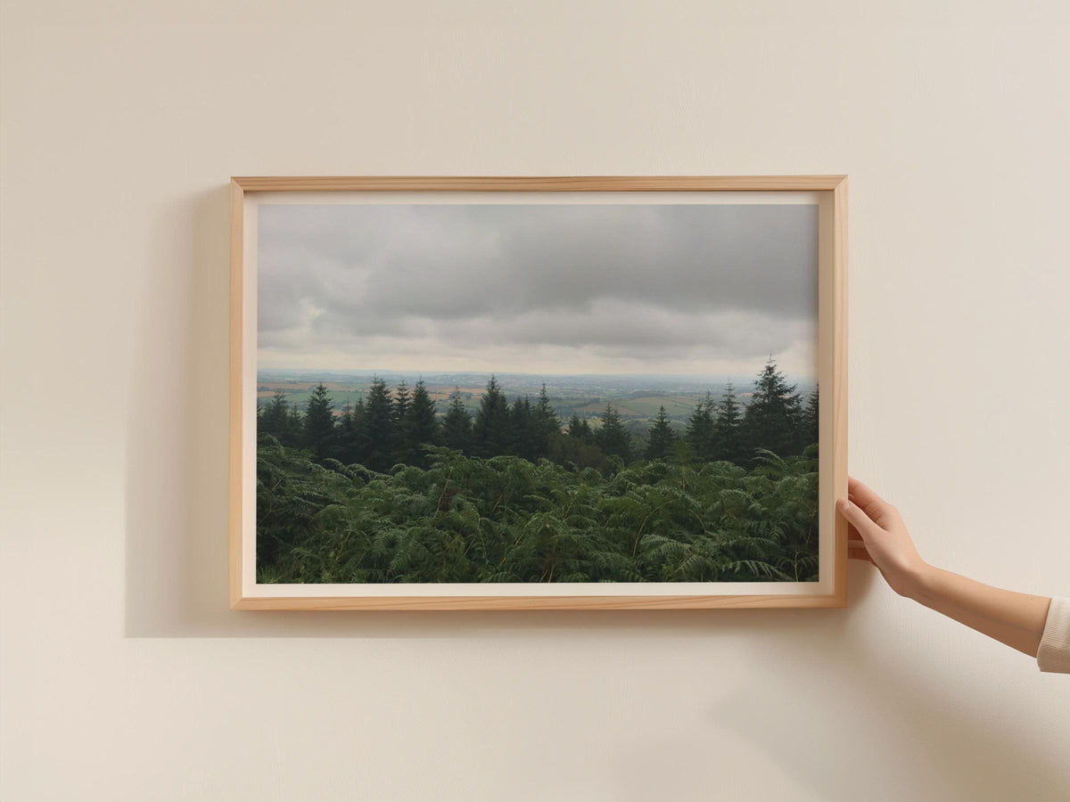 Dartmoor Trees Landscape Poster, Fern Hillside Framed-Print, Moody Green Devon Wall Art, British Countryside Nature Photography Print
