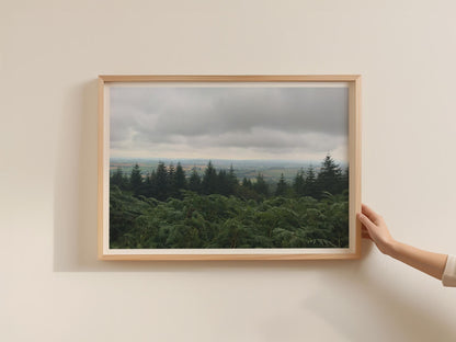 Dartmoor Trees Landscape Poster, Fern Hillside Framed-Print, Moody Green Devon Wall Art, British Countryside Nature Photography Print